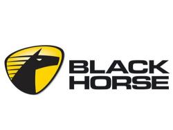 Black Horse akumulatori se posle stečaja fabrike vraćaju na tržište