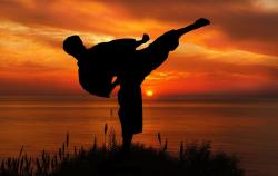 Karatisti iz Sombora uspešni na karate turniru u Staroj Pazovi