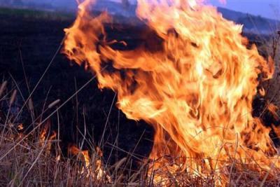 Vatrogasci sprečili širenje požara u Stanišiću
