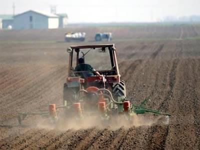 Javni pozivi za zakup i korišćenje poljoprivrednog zemljišta u državnoj svojini