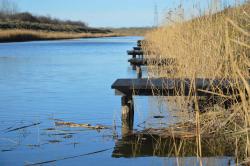 Sombor dobio novu pecarošku oazu na obali Velikog bačkog kanala