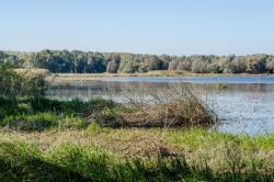 Poslednji apel vlastima: Nestaje jezero kod Sombora