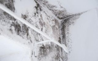 Važnost ventilacije za kupatilo: Taris turbinski ventilator za kupatilo