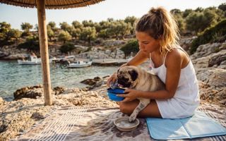 Kako sa psom u Grčku: nova EU pravila za Srbiju i da li se nešto menja