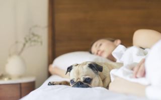Ritual pred spavanje koji ublažava anksioznost; Evo kako da resetujete um