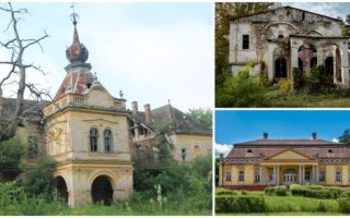 Vojvodina ima 70 dvoraca, ali je većina potpuno ruinirana. Zašto?