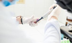 Hantavirus: Prenos među ljudima redak, ali moguć kod pojedinih sojeva: Simptomi - temperatura, malaksalost i bol u mišićima