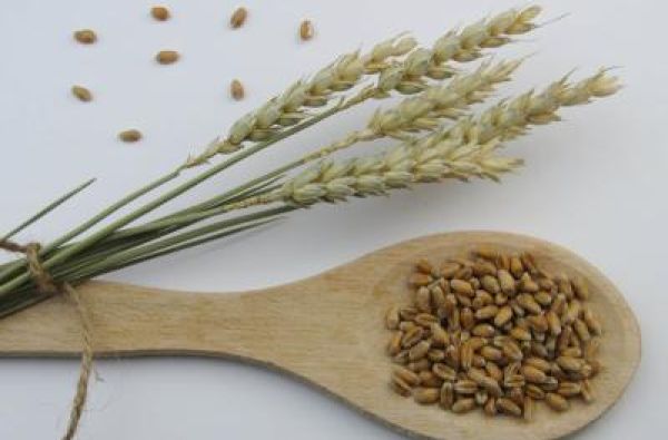 Zanemarena namirnica za doručak koja prirodno snižava holesterol