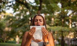 Trajno rešenje za alergije i čist vazduh u domu