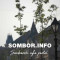 Manifestacije u Somboru - Šta nas čeka do kraja meseca?