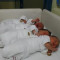 Renovirano somborsko porodilište spremno za hiljade novih beba