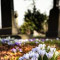 Raspored sahrana na somborskim grobljima za period 6 - 8. mart