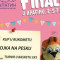 Prvo državno takmičenje SIM u Apatinu