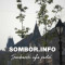 Zatvorene ulice Sombora tokom ''Somborskog noćnog bazara''