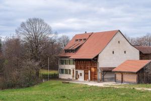 "Godinu dana mu je uznemiravao ćerku": Meštani brane osumnjičenog koji je pretukao komšiju