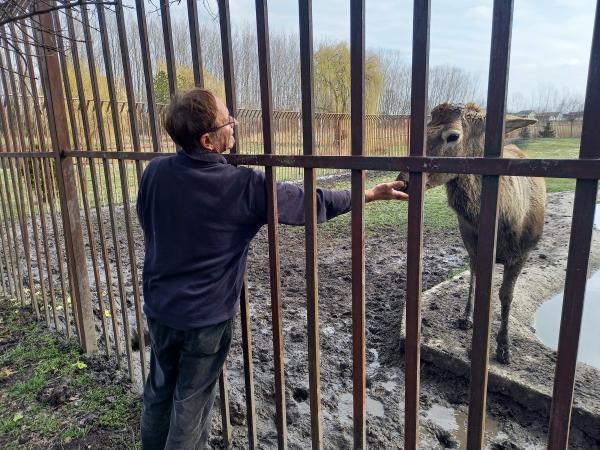 MILAN MIRIĆ IZ KOLUTA SVOJ ŽIVOT POSVETIO ČUVANJU ŽIVOTINJSKOG SVETA Na vrata njegovog zoo-vrta dovode ranjene, otrovane, zapuštene i odbačene