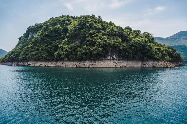 Ostrvo na kom živi 7.000 zmija nalazi se u komšiluku: Evo kako izgleda meka poskoka po kojoj su do skoro šetali samo biolozi