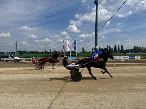 Održan je 1. trkački dan na somborskom hipodromu