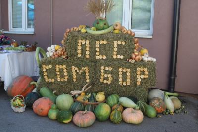 Održan „Dan polja jesenјih kultura“ u Somboru