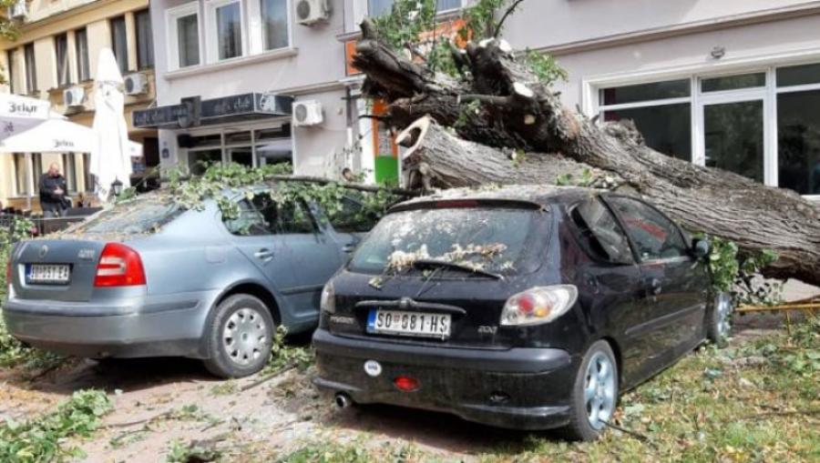 Palo drvo u centru Apatina i uništilo dva automobila