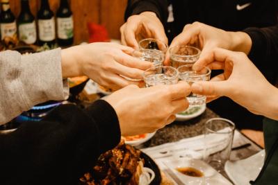 Apatin spreman za peti međunarodni festival