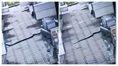 Pogledajte: Snimak džinovske zmije u Loznici uznemirio građane, tvrde da se uputila prema reci Štiri VIDEO
