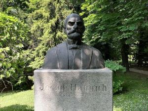 Kako je Josif Pančić na obroncima Tare pre 150 godina otkrio do tada nepoznatu vrstu četinara