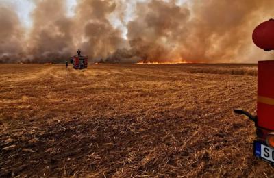 Požar na njivi u ataru Stapara, izgorelo 40 hektara ječma