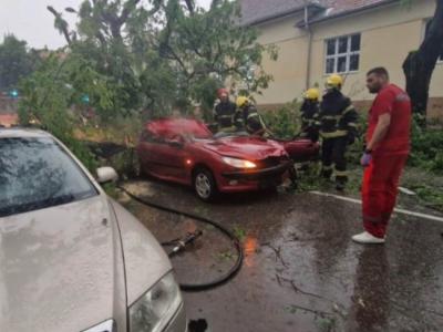 OGLASIO SE ADVOKAT NAKON POGIBIJE SESTRE! Drvo palo na automobil: "Da je sekund ranije prošla, bila bi živa"