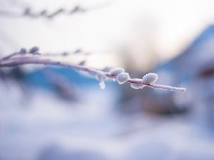 5 корисних савета о томе како се припремити за зиму