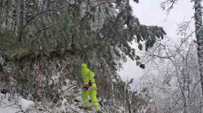 U Loznici 10.500 ljudi bez struje, najugroženiji će dobijti agregate