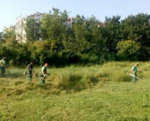 Košenje ambrozije po nalogu inspekcije - Sombor prvi na redu