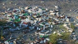 VOICE: Neodgovorno gomilanje smeća u evropskom Amazonu kod Sombora