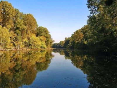 SRP (Specijalni rezervat prirode) "Gornje Podunavlje" - Vojvođanski Amazon