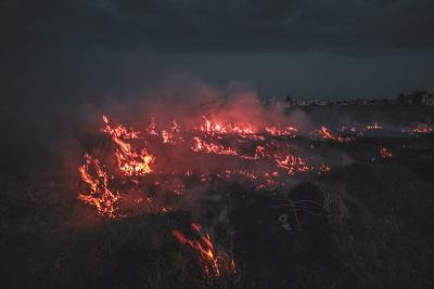 Ministarstvo poljoprivrede apelovalo da se ne pali strnjika