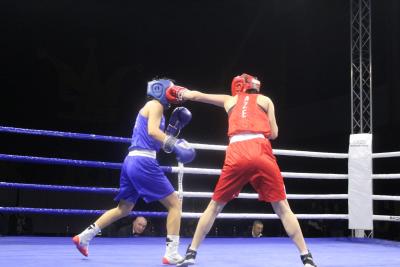 U Somboru počeo 13. „Kup nacija“ – Međunarodni turnir u boksu za žene
