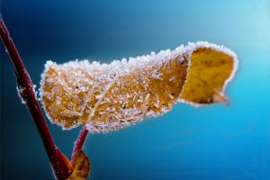 Do 45 mraznih dana: Kakvo nas proleće čeka u Srbiji i šta pokazuju vremenske prognoze za Evropu?