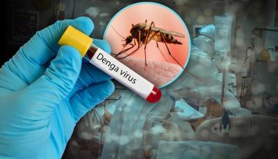 SVET NA UDARU OPASNOG VIRUSA! Prenosi ga komarac prisutan i u Srbiji, a leka nema: Može biti opasan po život i tada su simptomi ZASTRAŠUJUĆI
