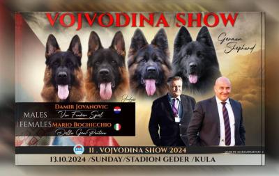 Specijalizovana izložba nemačkih ovčara „Drugi Vojvodina kup” u Kuli