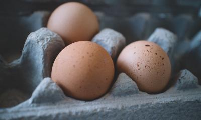 Novosti: Jaja iz Srbije i dalje imaju zabranu izvoza u zemlje Evropske unije