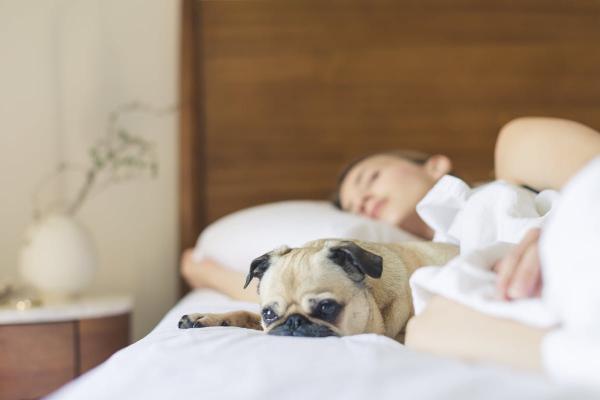 Ritual pred spavanje koji ublažava anksioznost; Evo kako da resetujete um