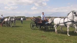 POČELE VELIKOGOSPOJINSKE VEČERI U STAPARU Teget odelo i ovčiji paprikaš uvek su u modi