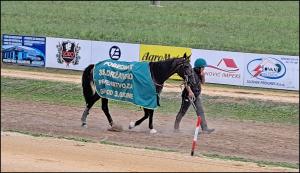 Trkački dan u Somboru: Dominacija Dejana Petrovića