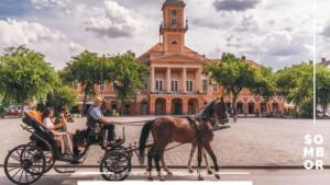 LjUDI, GODINE, ŽIVOT: Fijakerista Jagra iz Sombora i njegov Riđan