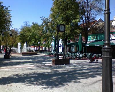 Prolećni bazar narednog vikenda u Apatinu