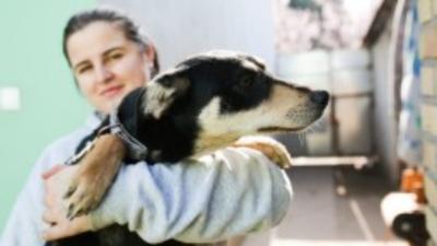 Na svom imanju ima skoro 40 životinja, a brine i o 10 uličnih pasa: Dvadesetogodišnja Andrea Žuljević iz Sombora sakuplja novac da osnuje azil