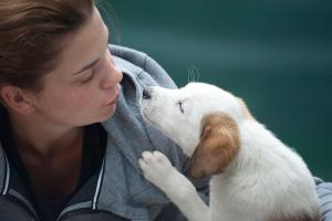 7 osobina vlasnika koji sa svojim ljubimcima razgovaraju kao s ljudima