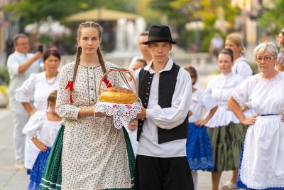 U Somboru svečano proslavljen praznik Mađarske nacionalne zajednice