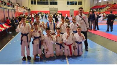 Šest zlatnih medalja na prvenstvu Vojvodine