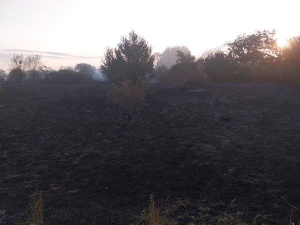 Požar kod Sombora - Jutro posle. I dalje dim i plamenovi (FOTO/VIDEO)